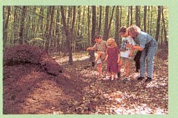 Wald erleben